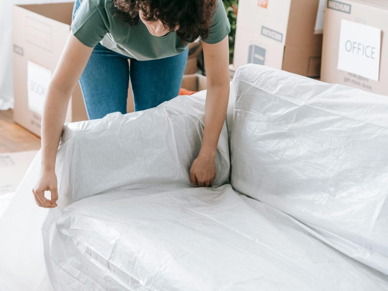 pexels-blue-bird-7217801