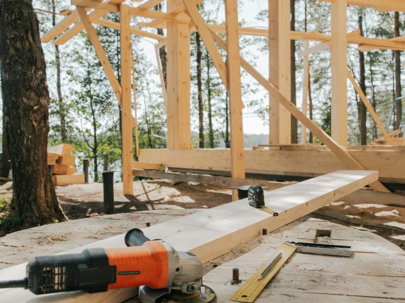 pexels-ron-lach-8821543