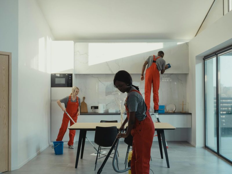 pexels-tima-miroshnichenko-6196688